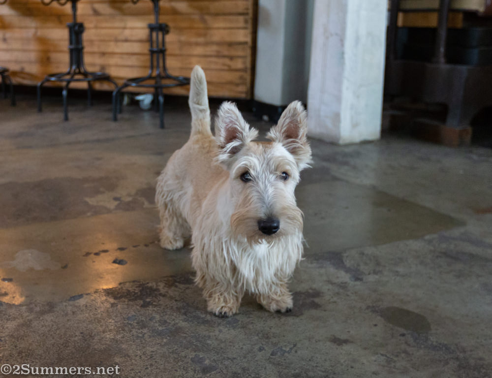 Inside the Workhorse Foundry entrance hall