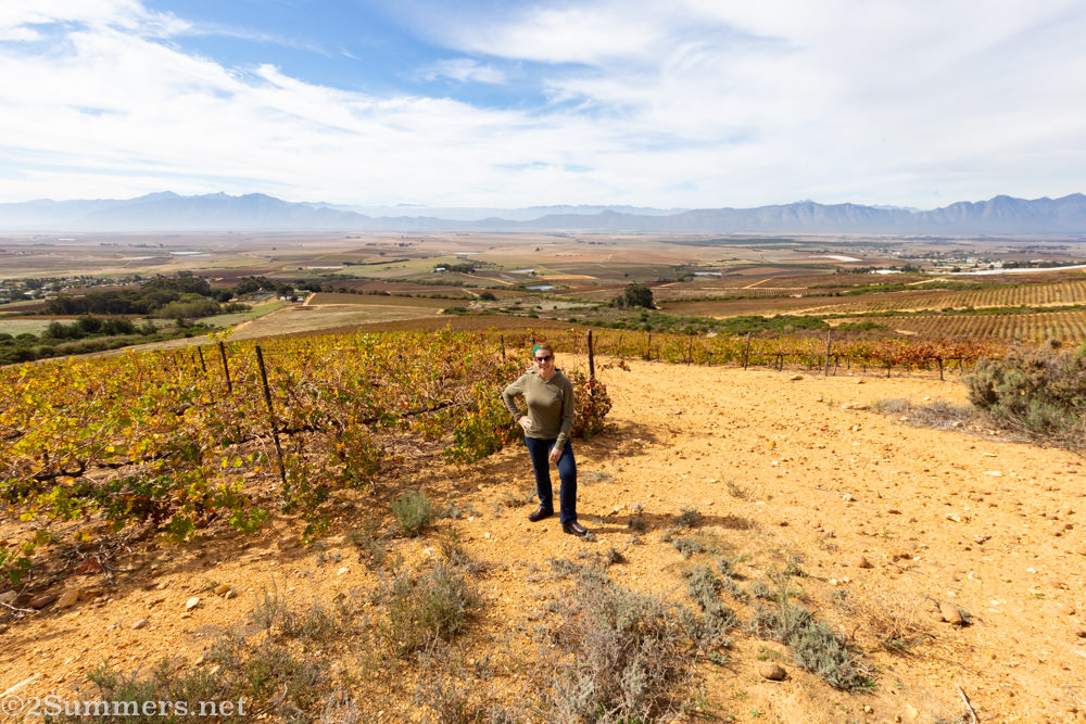 Heather on a mountain above the Allesverloren Wine Estate.