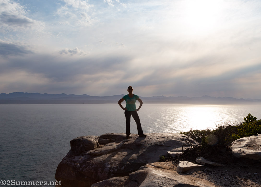 Heather in the Robberg Nature Reserve