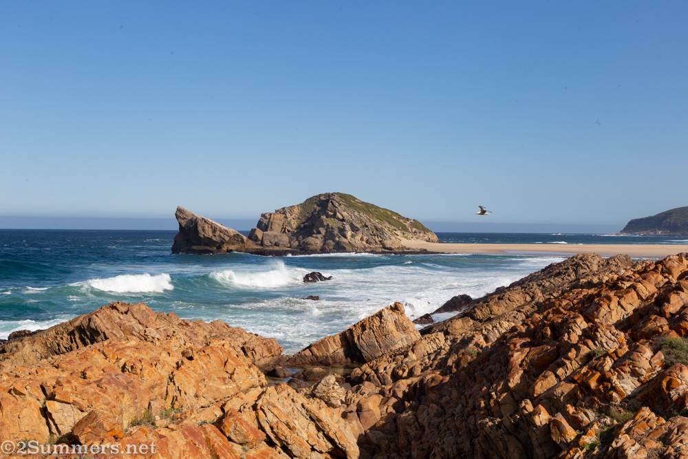 Robberg island