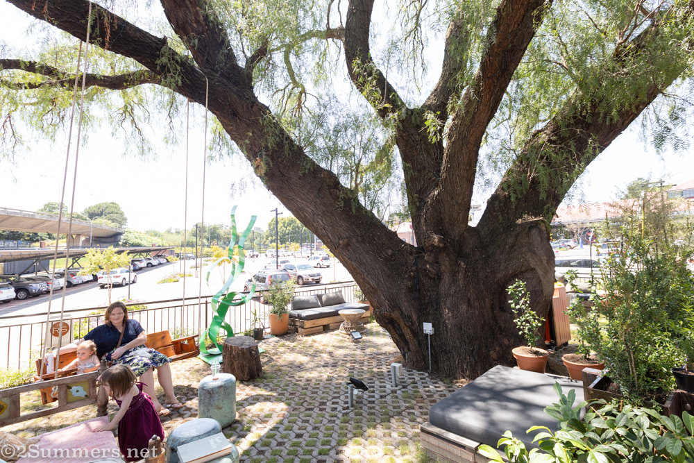 Pepper tree at Boho Cafe
