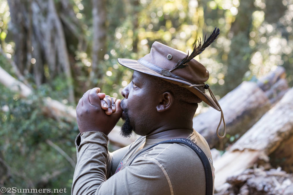 David Letsoalo birding guide