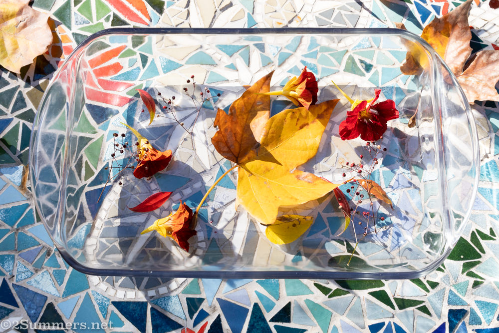 Fall leaves and flowers from my garden