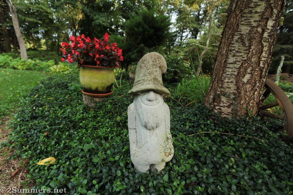 Garden gnome in Gaither