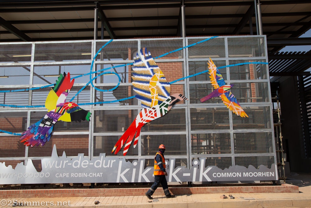 Bird mural on the wall of Paterson Park pool