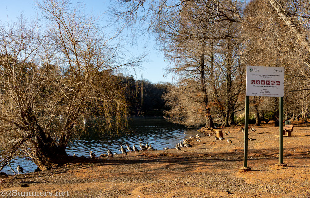Winter at Emmarentia Dam