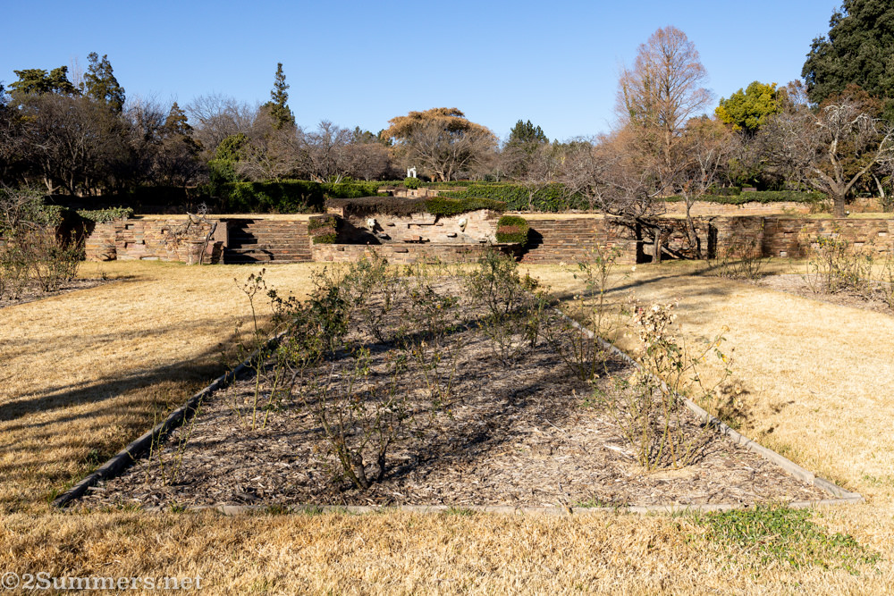 The rose garden in Johannesburg Botanical Gardens