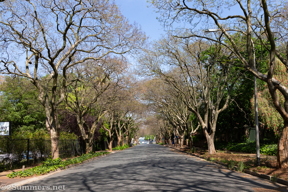 Sherborne Road in Parktown