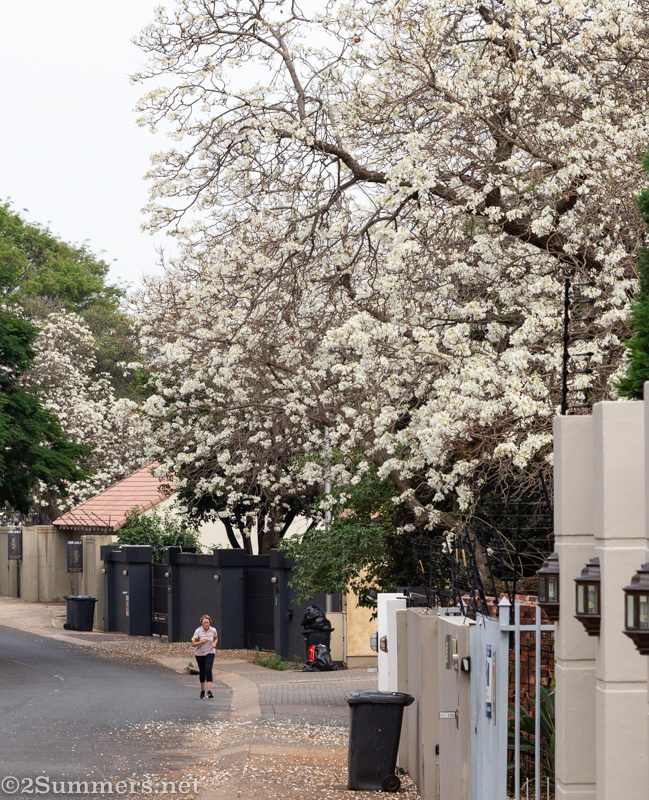 Jogging up Herbert Baker Street