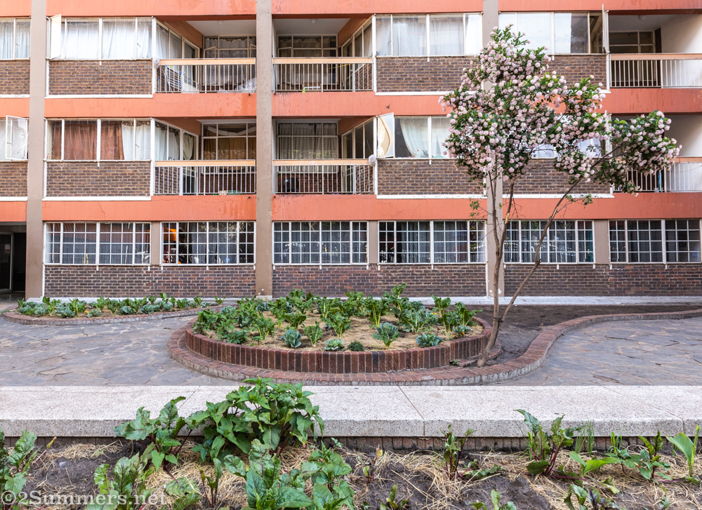 Garden on O’Reilly Road, Berea
