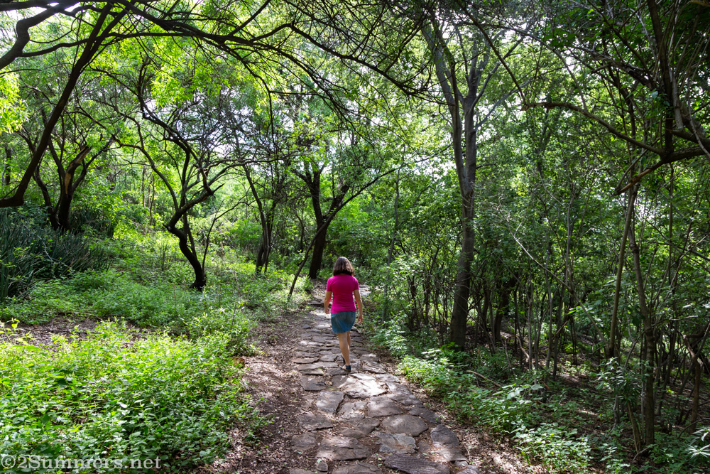 Heather on the Wonderboom trail