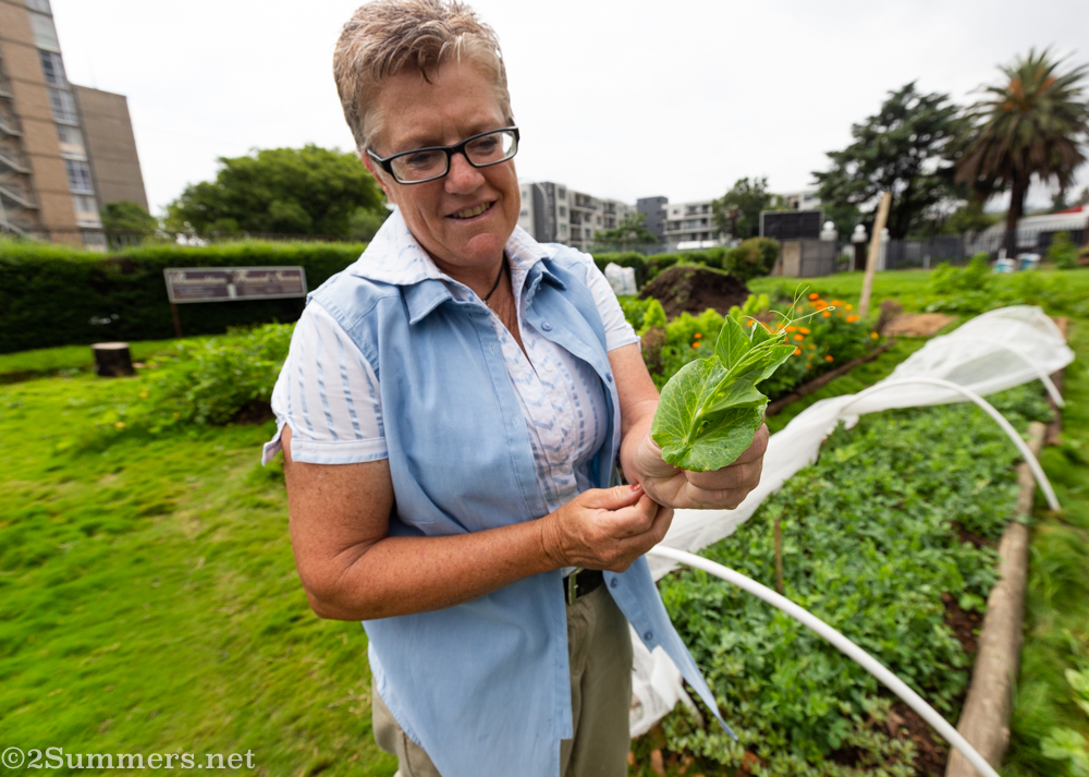 Janine Carstensen of the Food Exchange
