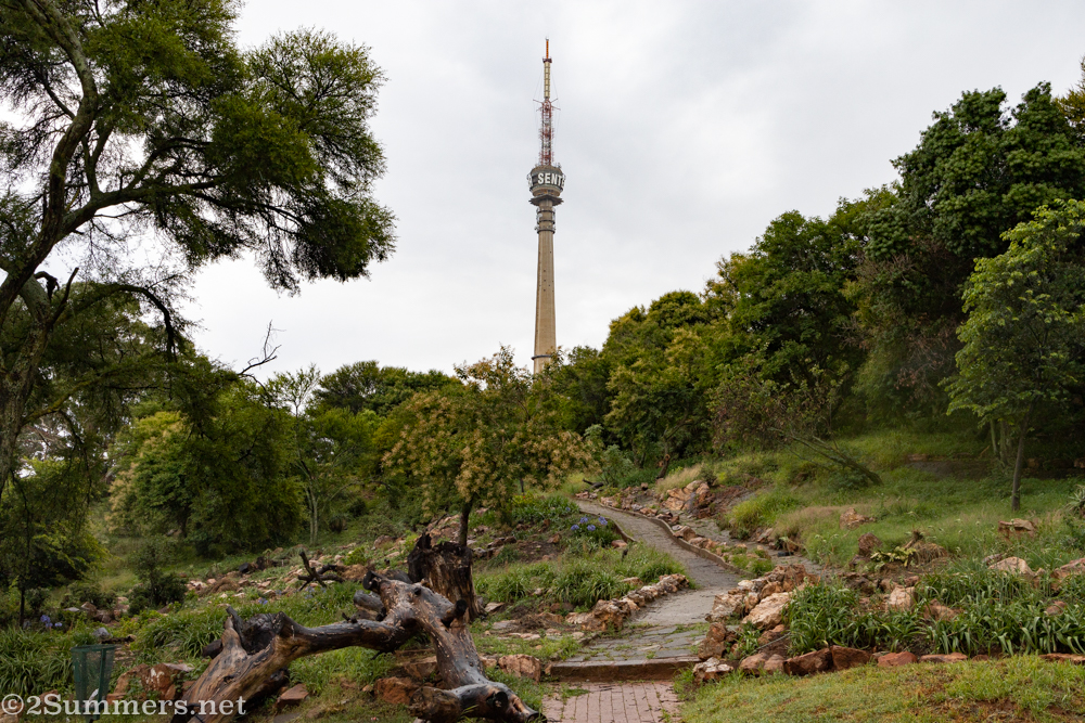 Kingston Frost Park and Sentech Tower