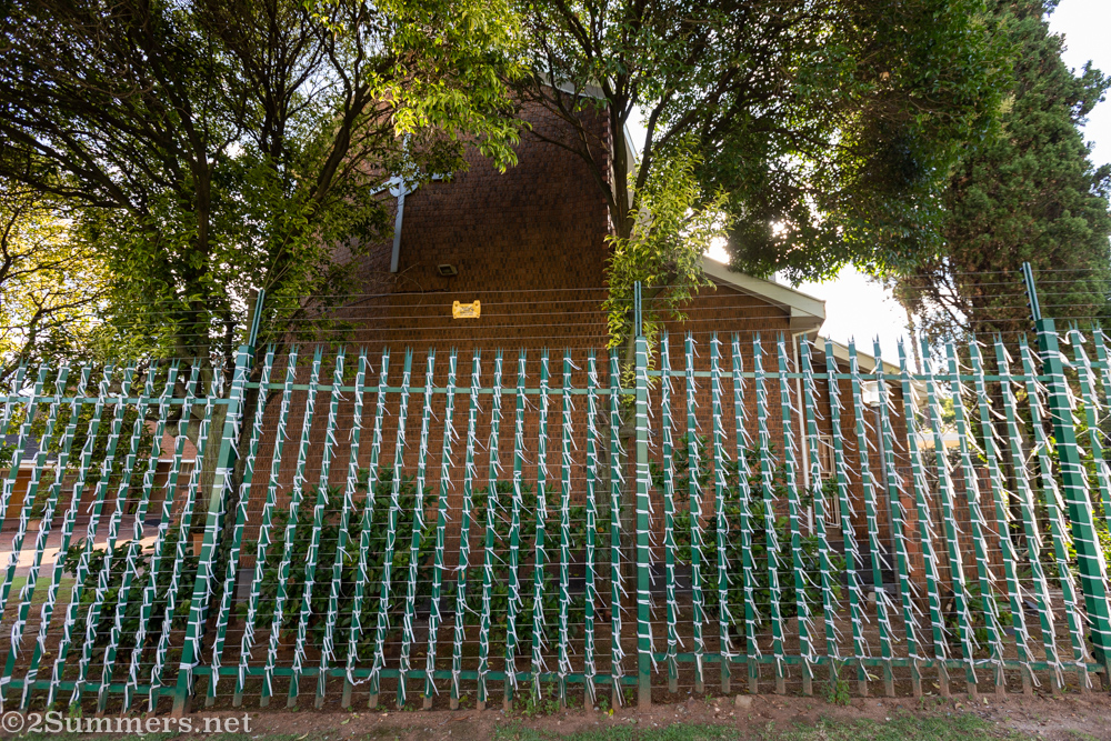 White ribbons near the entrance to St. James Church