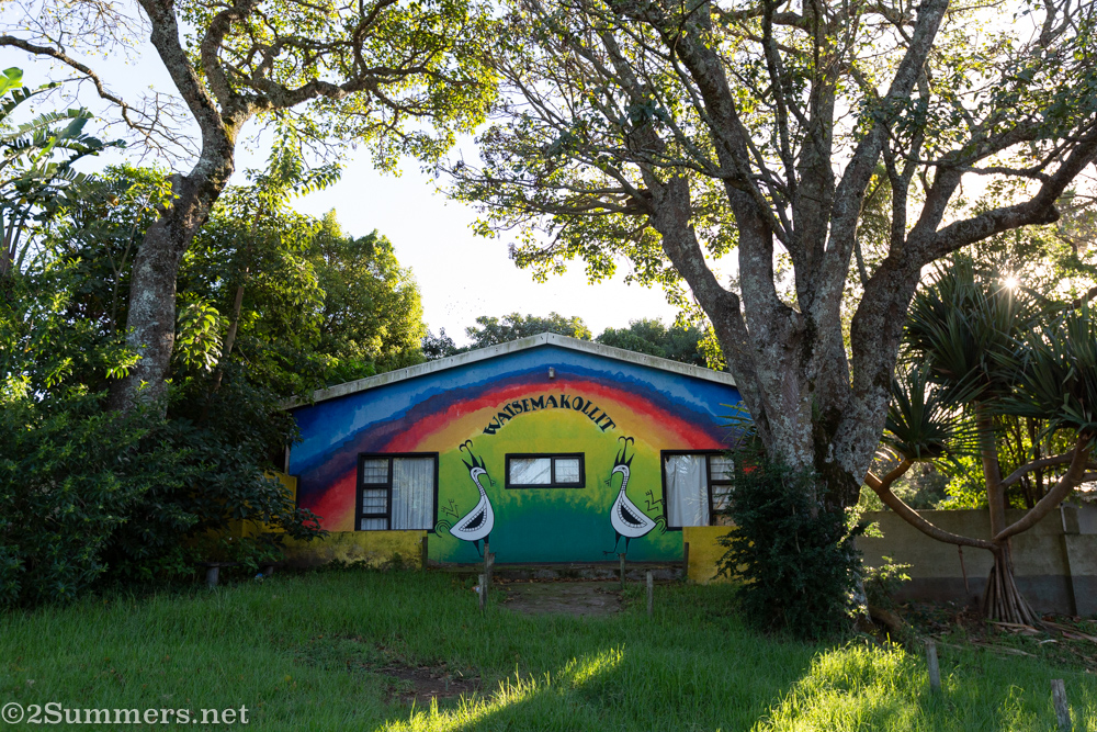 Bathurst building with lucky bean trees
