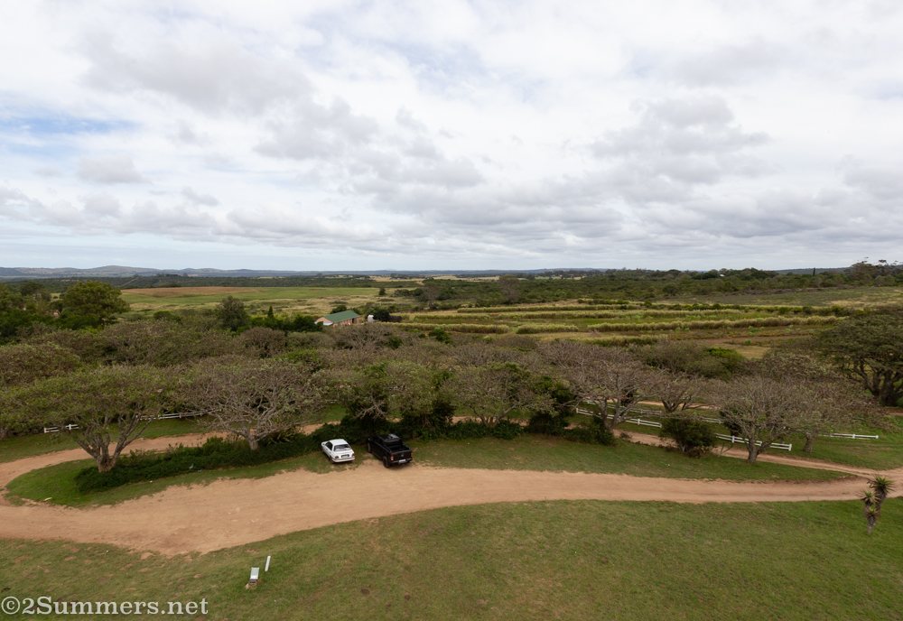 View from the viewing deck