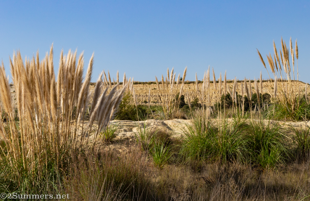 view near the top of a mine dump in Soweto