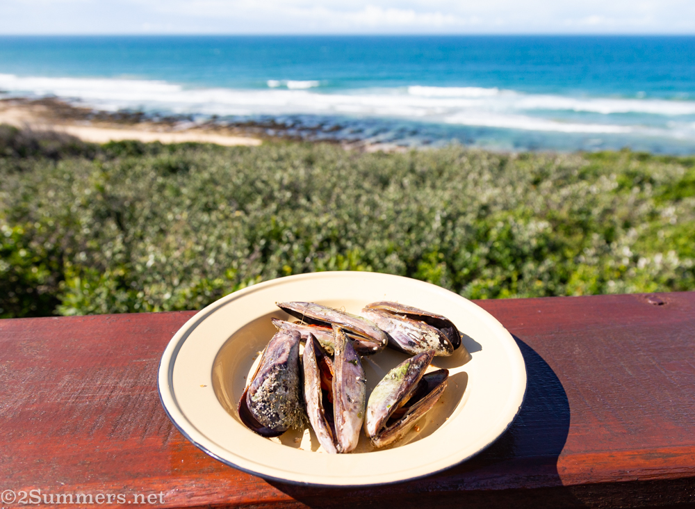 Mussels from Oribi Havem