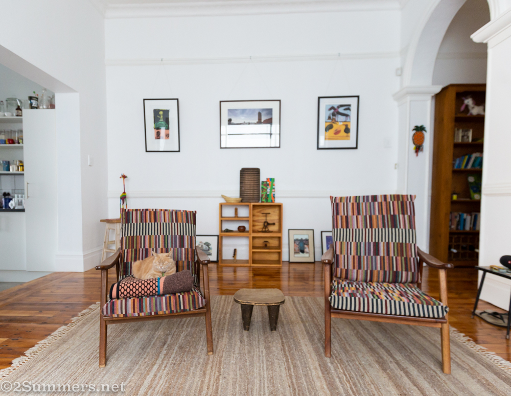 Trixie on our newly reupholstered chairs