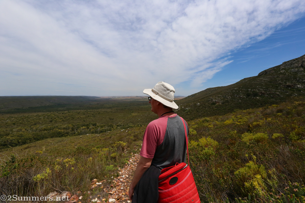 View from the cape vulture hike