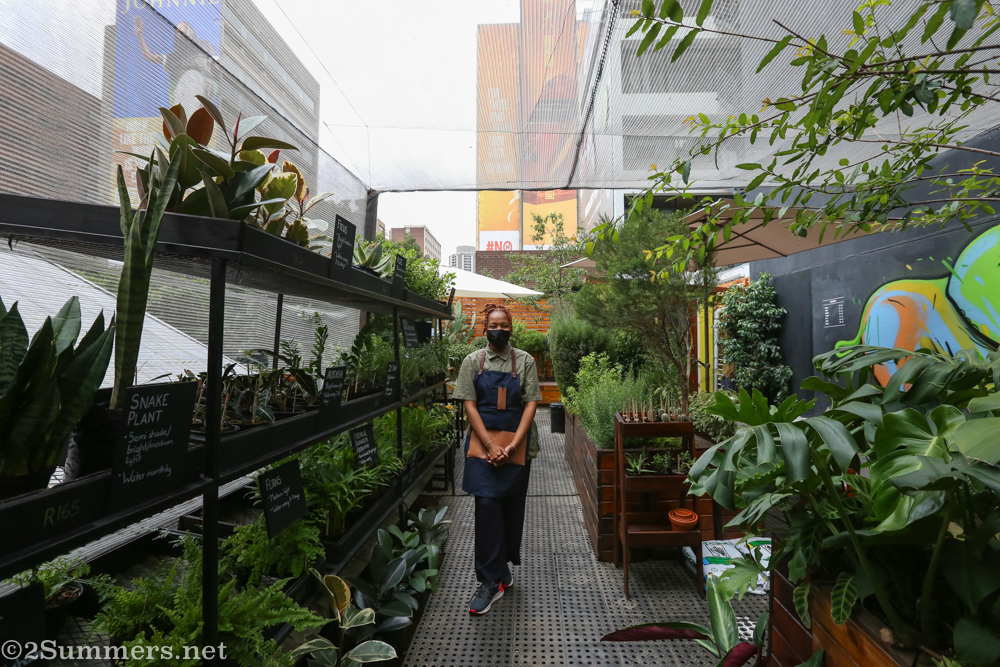 The JFF Rooftop nursery