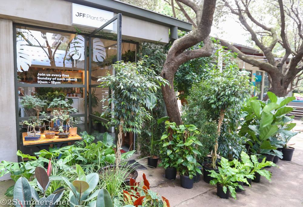 The JFF Plant Shop at 44 Stanley