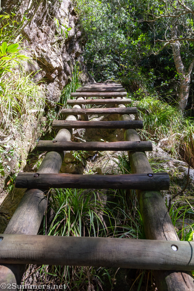 Ladder in Skeleton Gorge