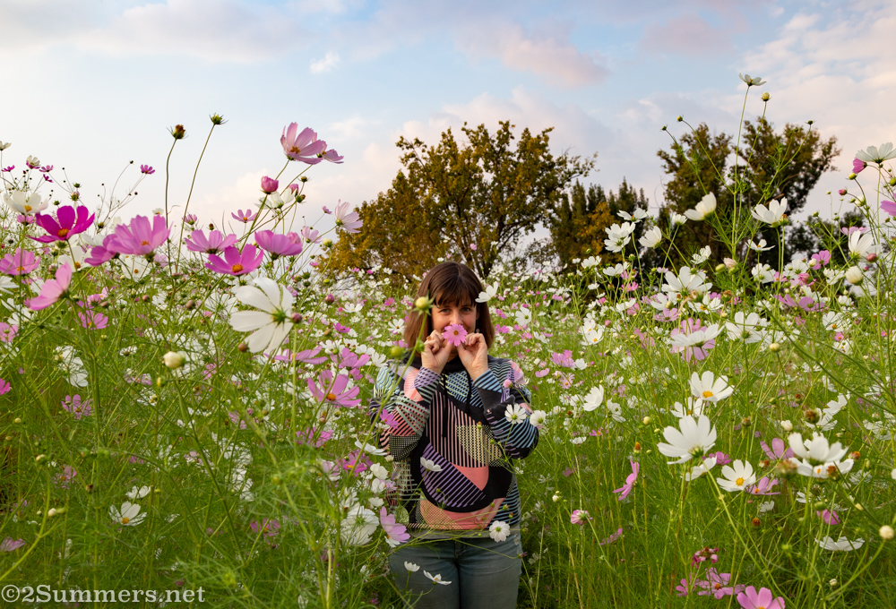 Heather in the cosmos at Delta Park