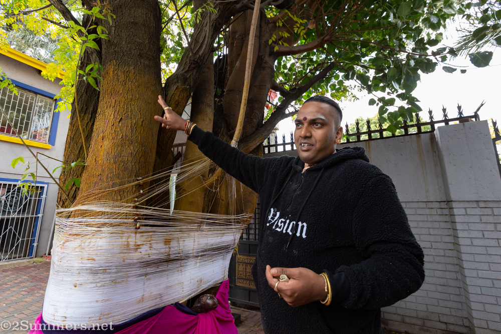 Prayer tree at the temple
