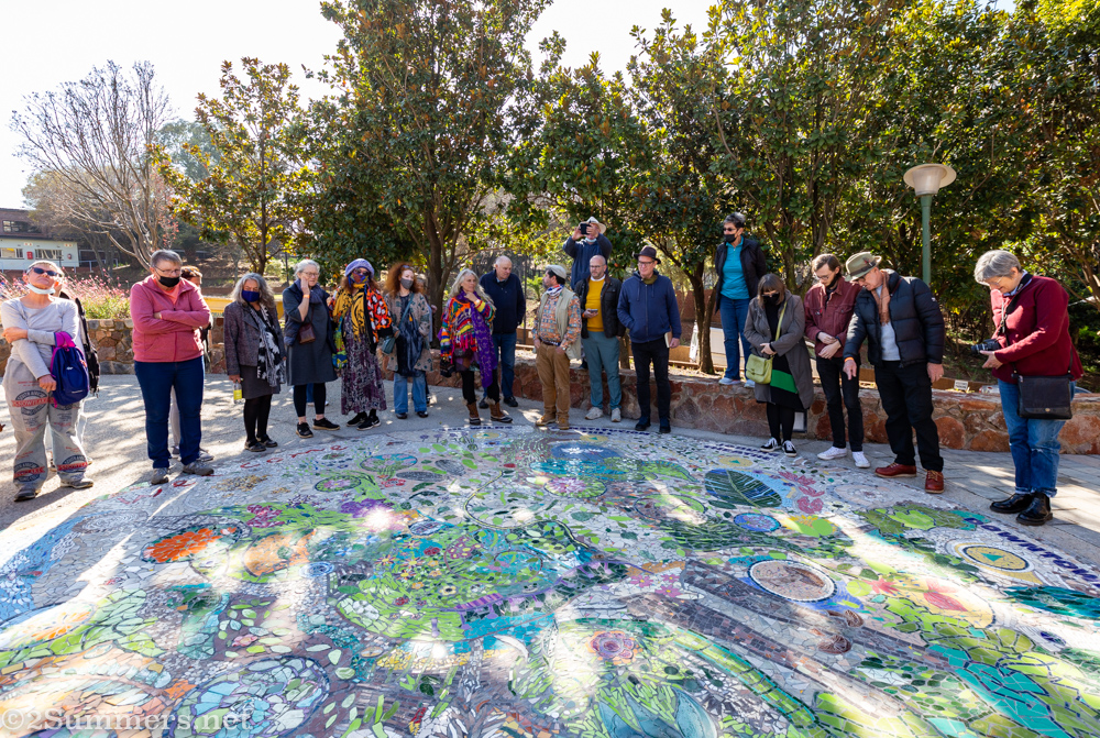 Indwe Park wellness mosaic in Braamfontein