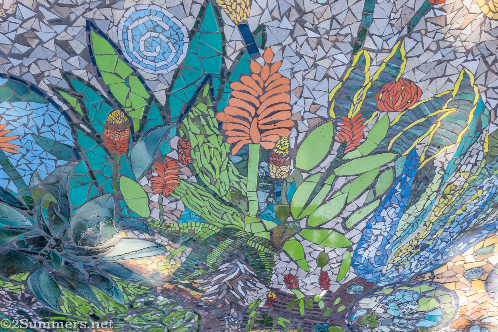 Aloes in Spaza Wellness mosaic