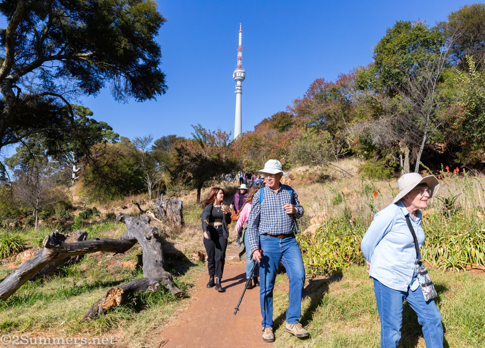 Walking in Kingston Frost Park