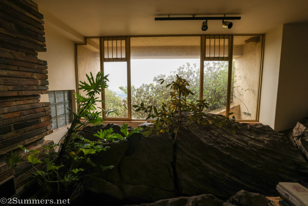 Falling Water basement with rocks and plants