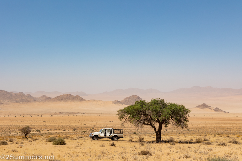 Land Cruiser and camel thorn tree