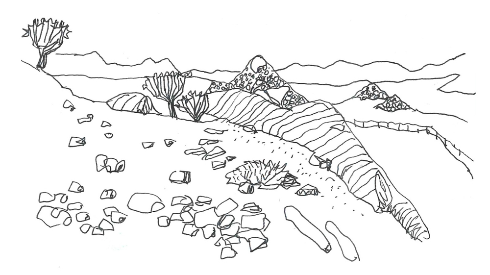 Quiver tree landscape