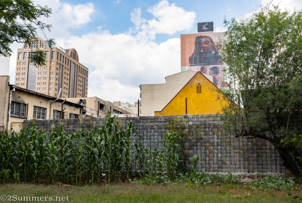 Glimpse of downtown Joburg from the St. Alban’s Church garden