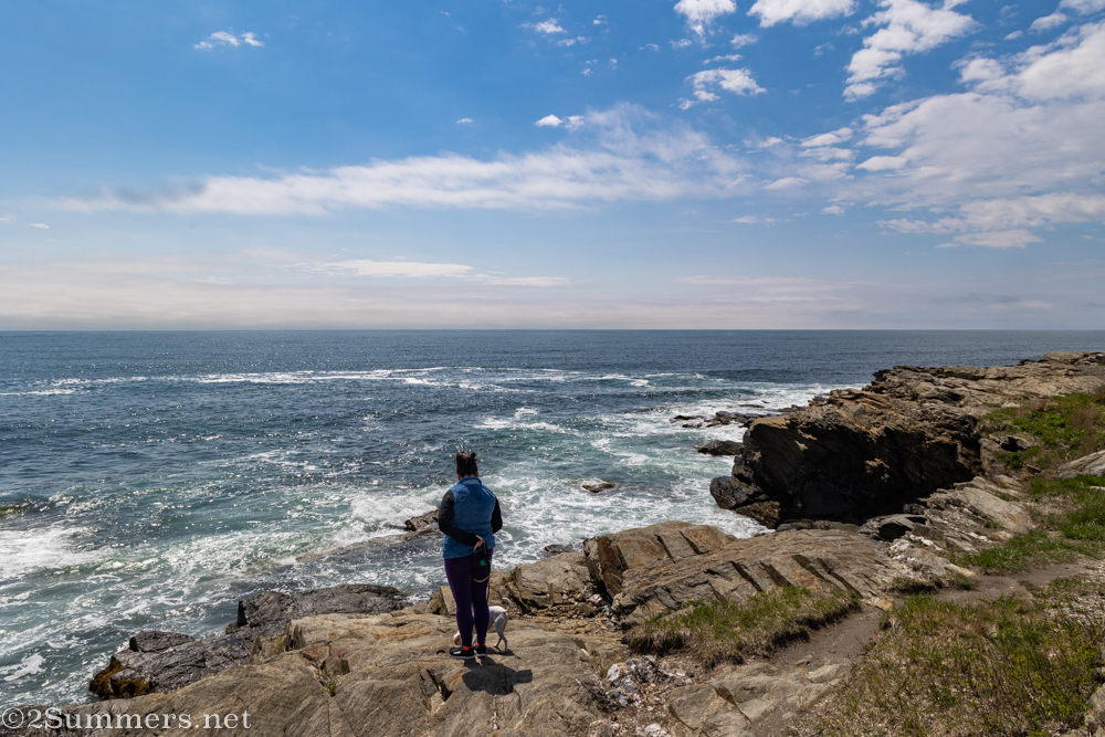 Beavertail State Park coastline
