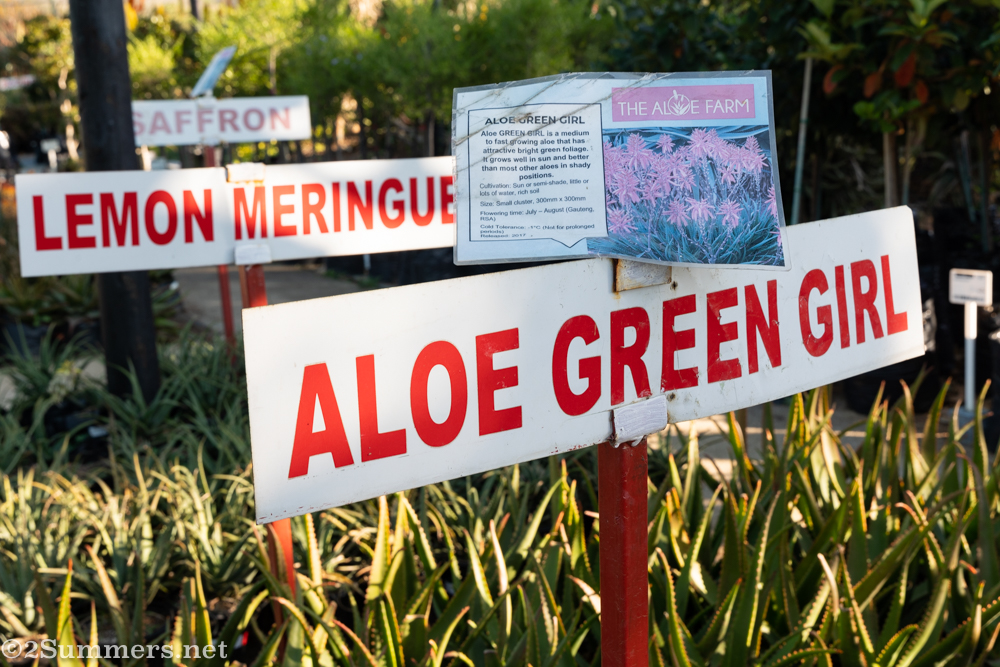 Aloe varieties for sale at the Aloe Farm