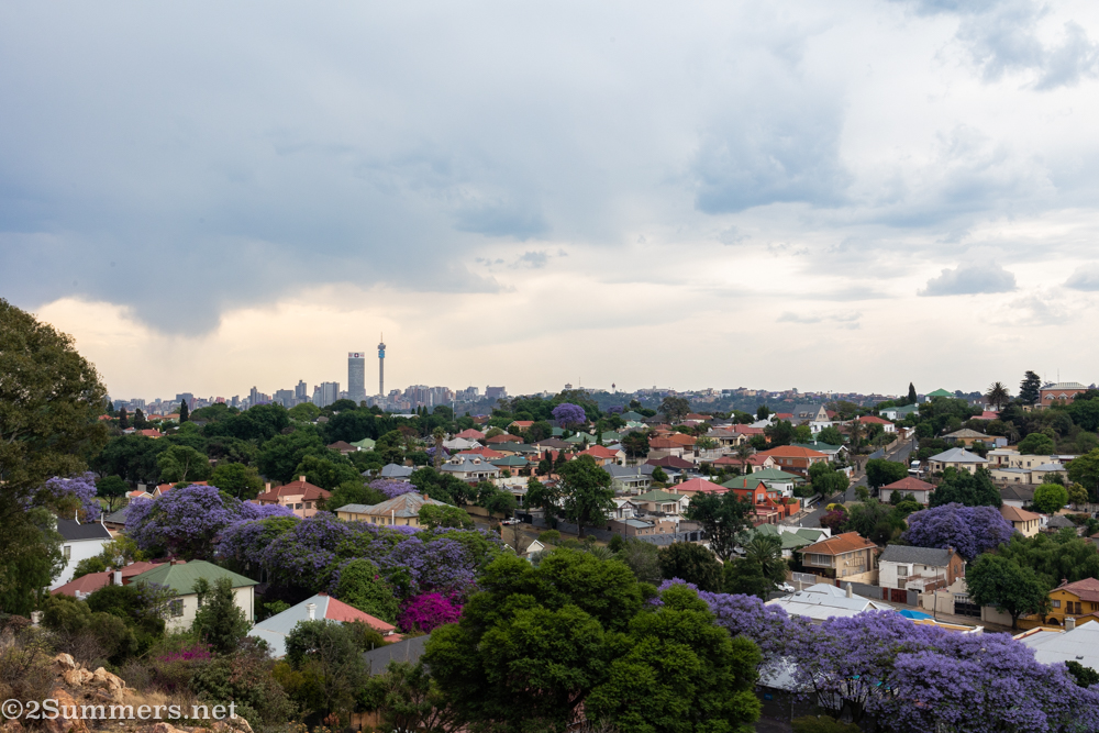 Joburg skyline view