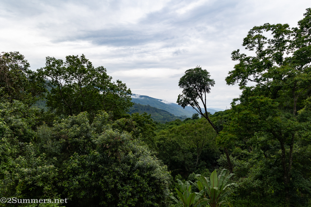 View from the porch at Frida’s View