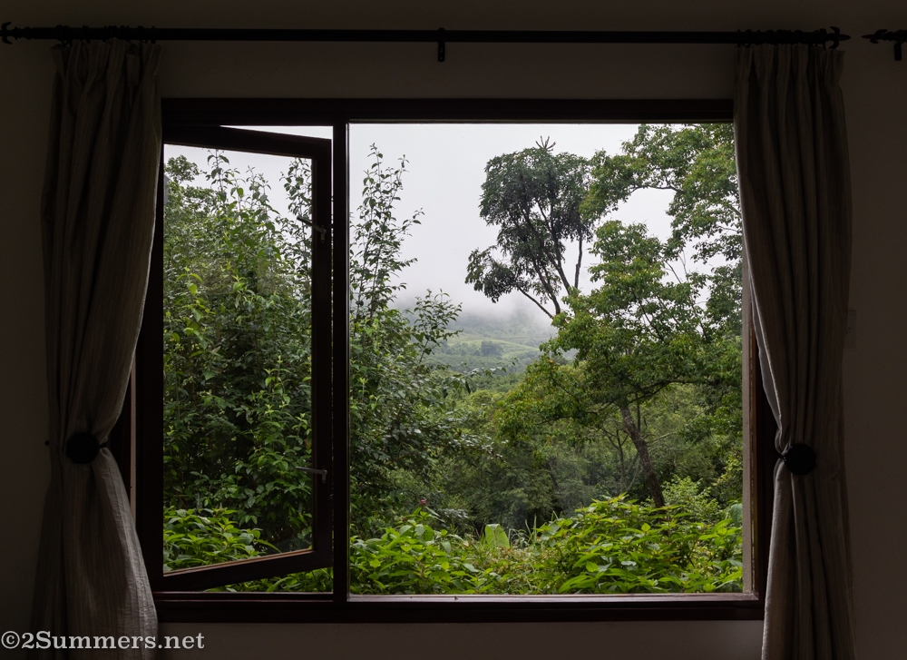 View of the forest from our cottage in Magoebaskloof