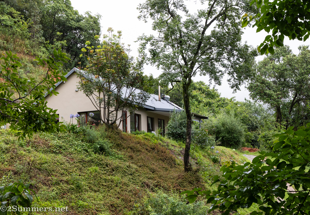 Looking up at Frida’s View in Magoebaskloof