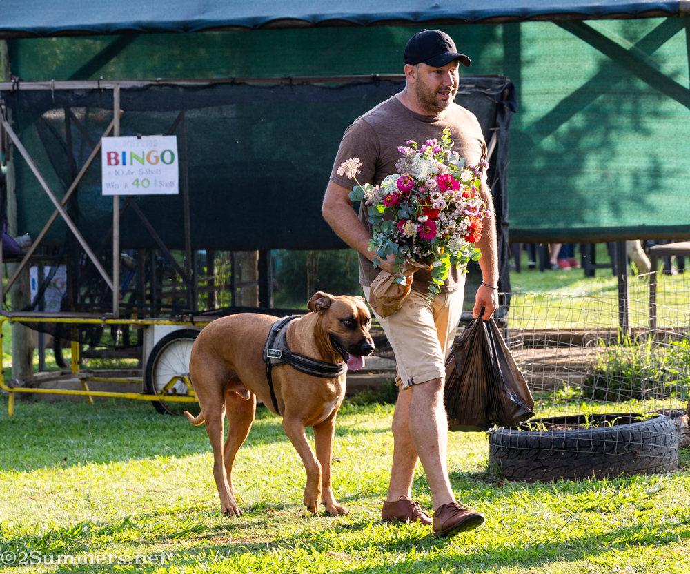 Dog-watching at the Boeremark