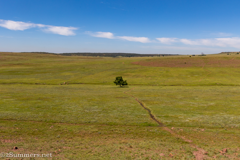 Green grass we walked across