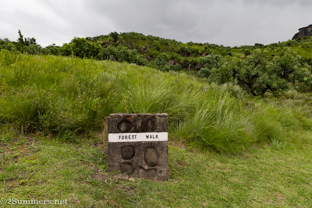 Forest walk trail marker