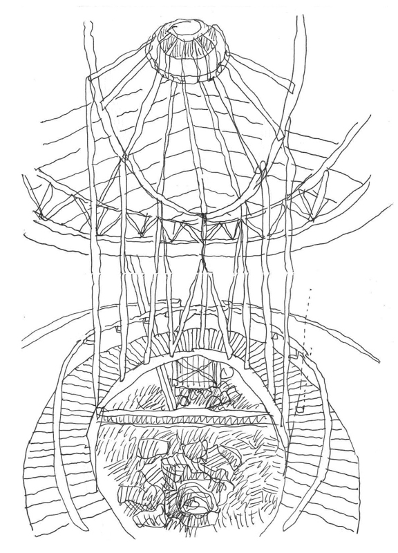 Malapa viewing platform sketch