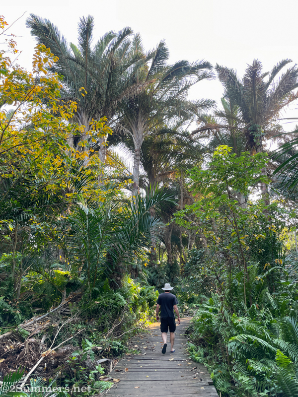 Raphia palm monument
