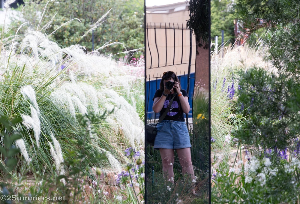 Reflection in a mirror at the park
