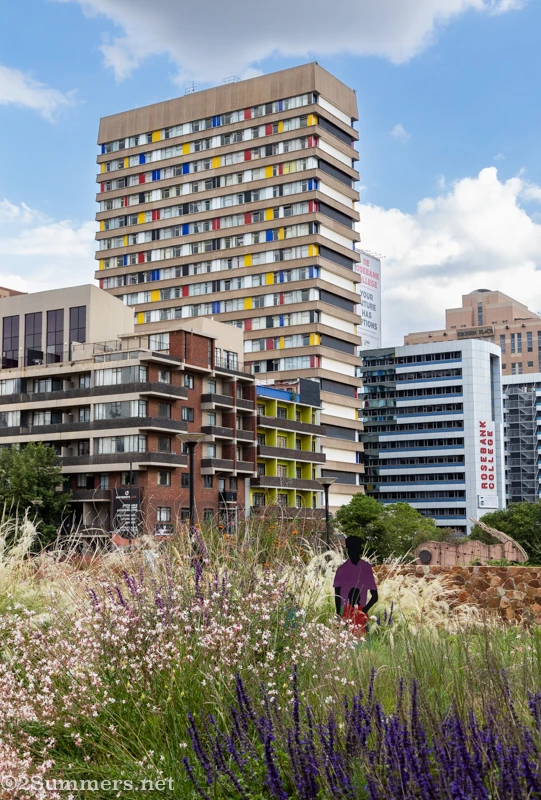 Park with Braamfontein skyscraper