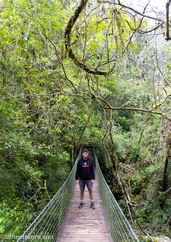 Thorsten on the suspension bridge in Graskop Gorge
